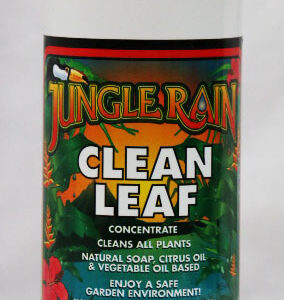 Leaf Cleaner